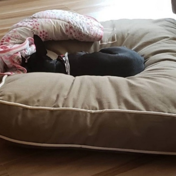 Meet your Posher, Jess - Picture 1 of 1